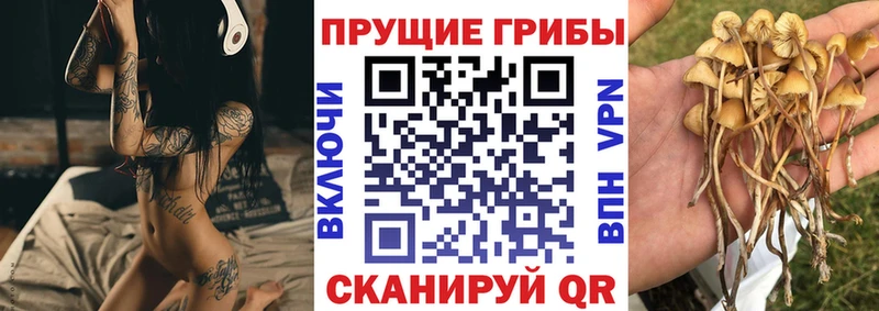 Псилоцибиновые грибы Psilocybine cubensis  сайты даркнета клад  Дальнегорск 