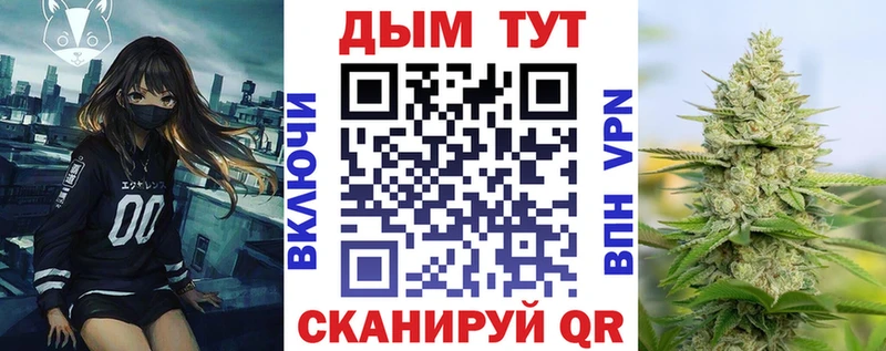 купить наркотик  Дальнегорск  Бошки Шишки тримм 